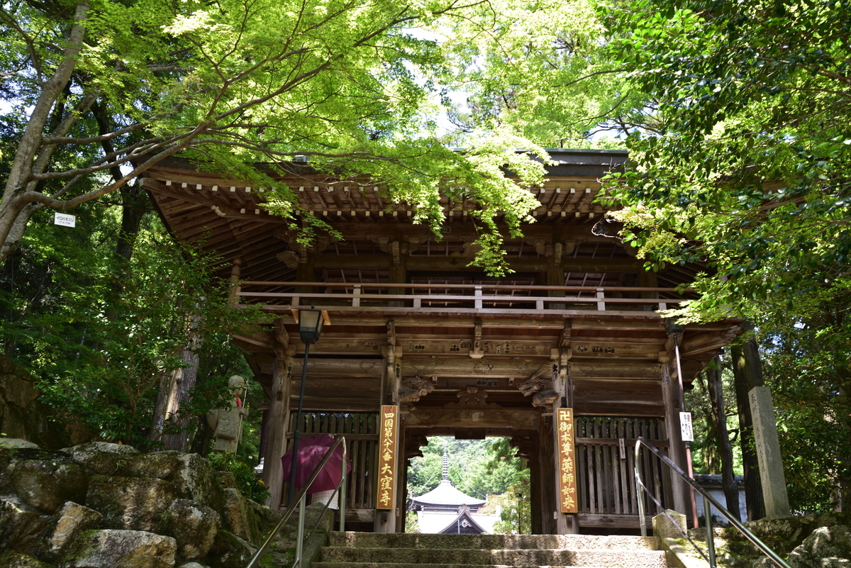 f:id:Hidariuchiwa:20201018185456j:plain f:id:Hidariuchiwa:20201018185456j:plain