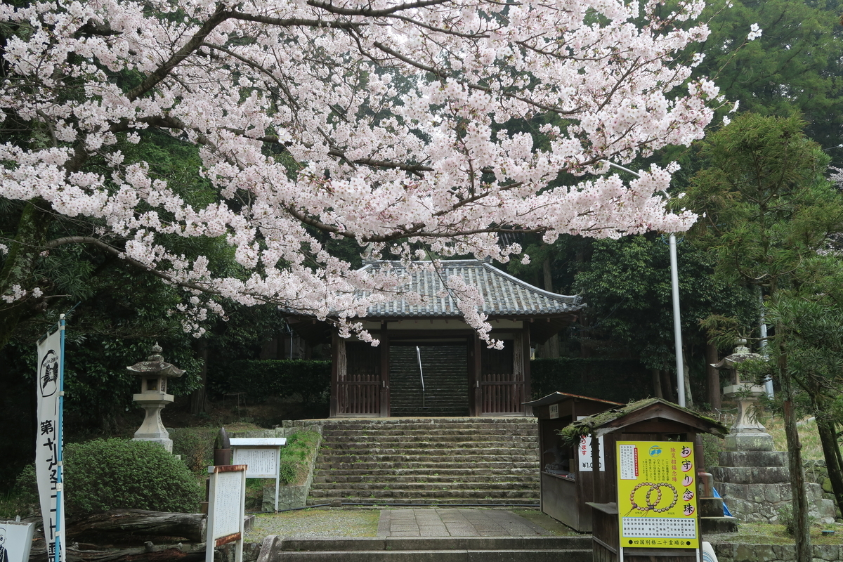 f:id:Hidariuchiwa:20201117221944j:plain
