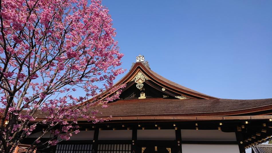 f:id:Hidariuchiwa:20201201204610j:plain