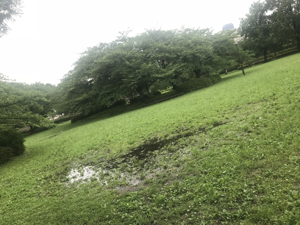 f:id:HideakiUemura:20180612190040j:plain