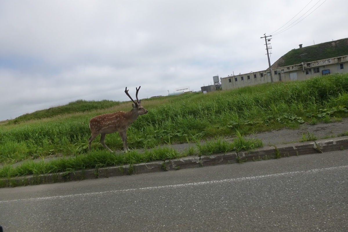f:id:Higahikubon:20190805211225j:plain f:id:Higahikubon:20190805211225j:plain