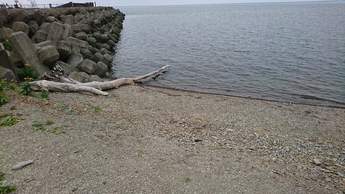 f:id:Higahikubon:20190805213236j:plain f:id:Higahikubon:20190805213236j:plain