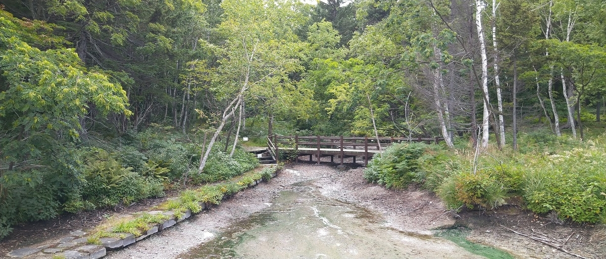 f:id:Higahikubon:20190825201022j:plain f:id:Higahikubon:20190825201022j:plain