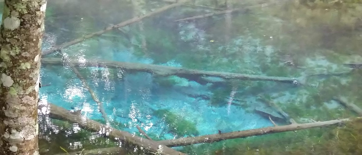 f:id:Higahikubon:20190901145752j:plain f:id:Higahikubon:20190901145752j:plain
