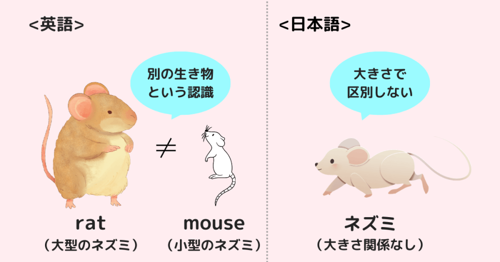 「rat」と「mouse」と「ネズミ」