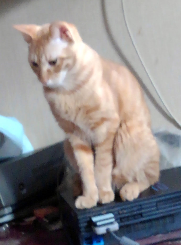 f:id:Hiikosan:20200216220947j:plain