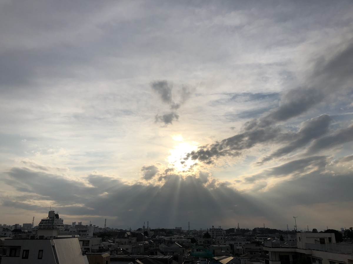 f:id:Hikaco:20200615173941j:plain f:id:Hikaco:20200615173941j:plain