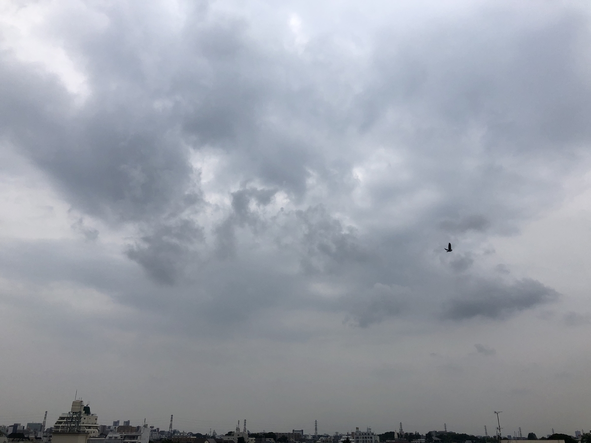 f:id:Hikaco:20200619011243j:plain f:id:Hikaco:20200619011243j:plain