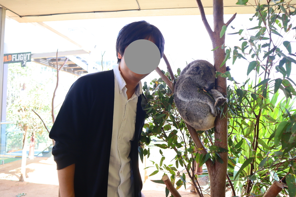 f:id:Hikari_22:20181118025117j:plain f:id:Hikari_22:20181118025117j:plain