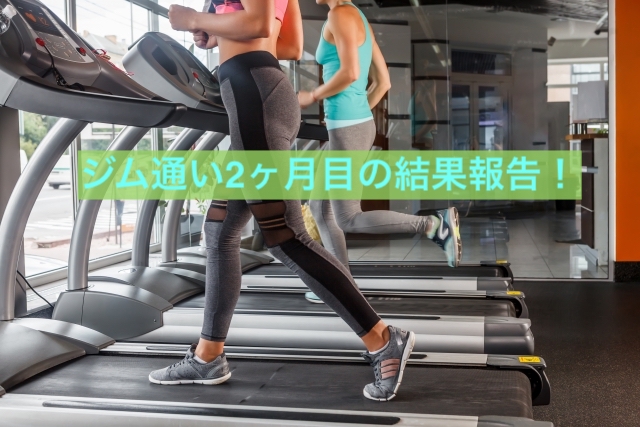 f:id:Hikari_22:20190313214313j:plain f:id:Hikari_22:20190313214313j:plain