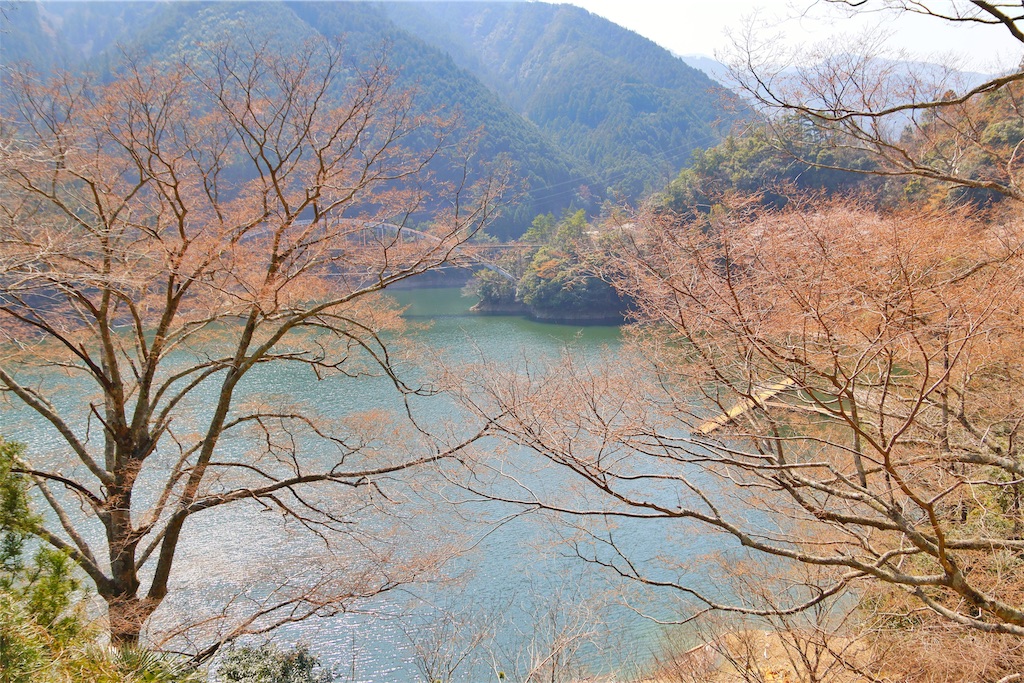 f:id:Hikari_22:20190421143138j:image f:id:Hikari_22:20190421143138j:image