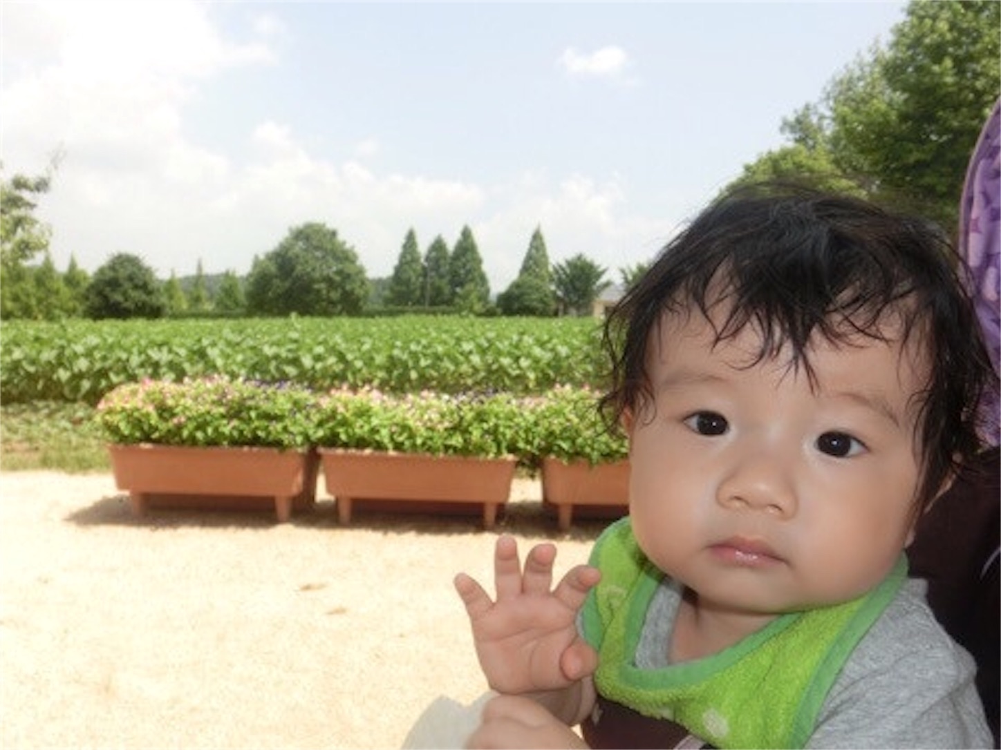 f:id:HikaruEikaiwa:20160811100058j:image f:id:HikaruEikaiwa:20160811100058j:image