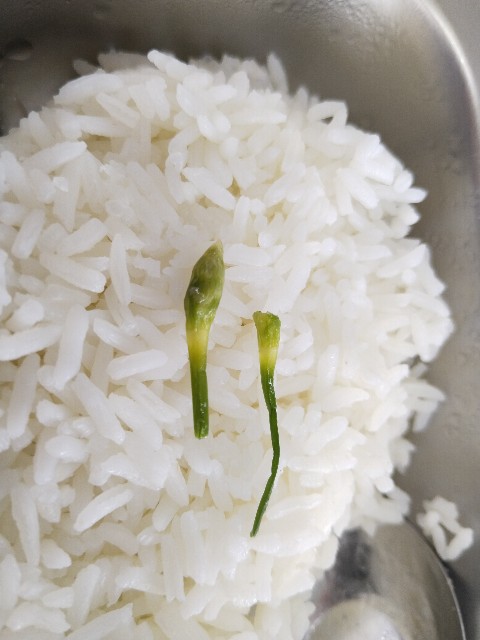f:id:HikoiwaBKK:20241111094247j:image