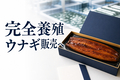 complete-farmed-eel