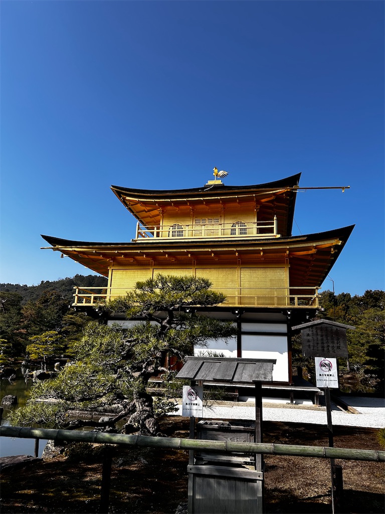 f:id:Hikoo:20240214143133j:image f:id:Hikoo:20240214143133j:image
