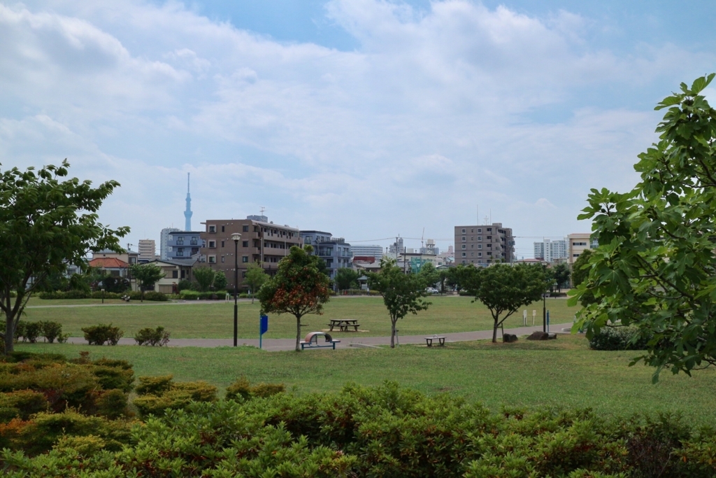 f:id:HimaCamera:20170719214700j:plain