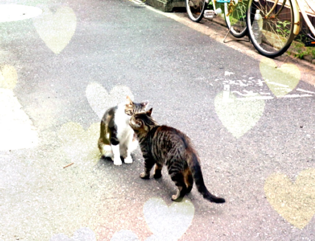 f:id:HimaCamera:20170720144502j:plain