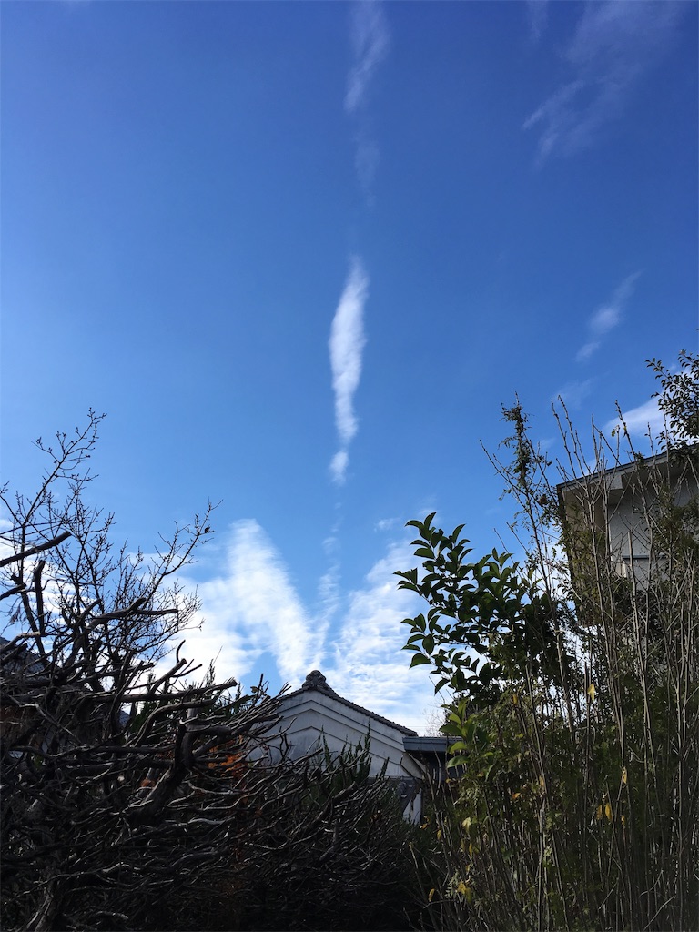 f:id:Himachan:20181209151602j:image f:id:Himachan:20181209151602j:image