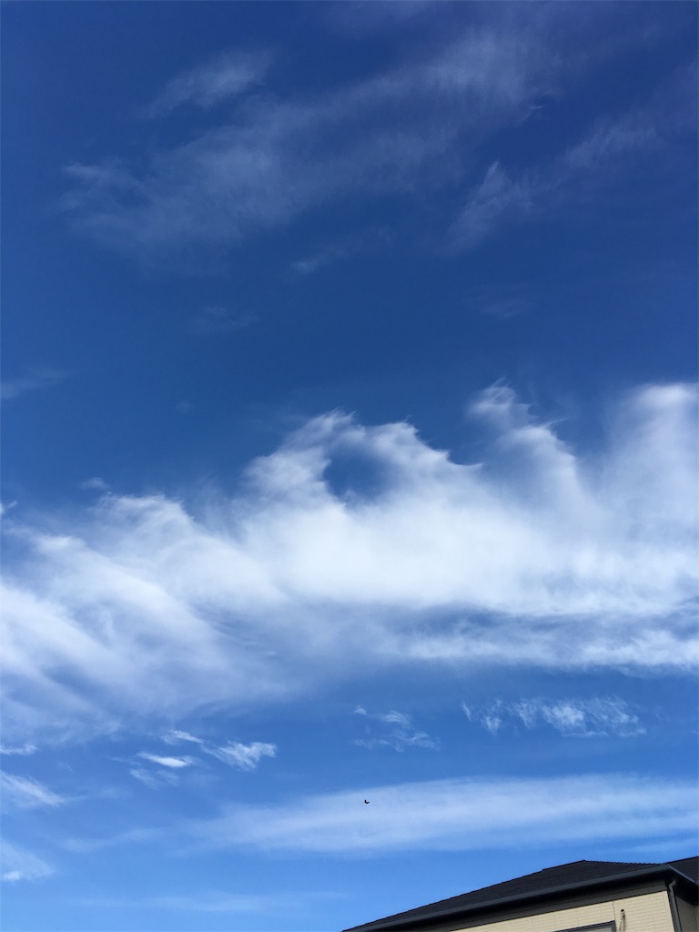 f:id:Himachan:20181209151719j:image f:id:Himachan:20181209151719j:image