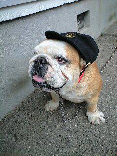 f:id:Himagine2020:20190907180433j:plain f:id:Himagine2020:20190907180433j:plain