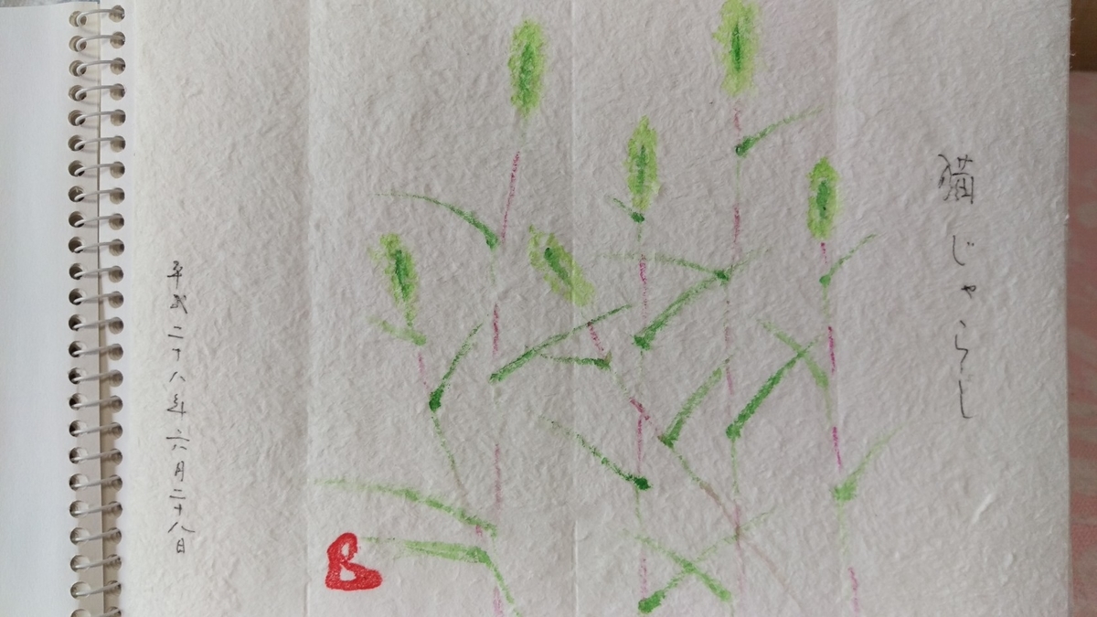 f:id:Himagine2020:20190925202130j:plain