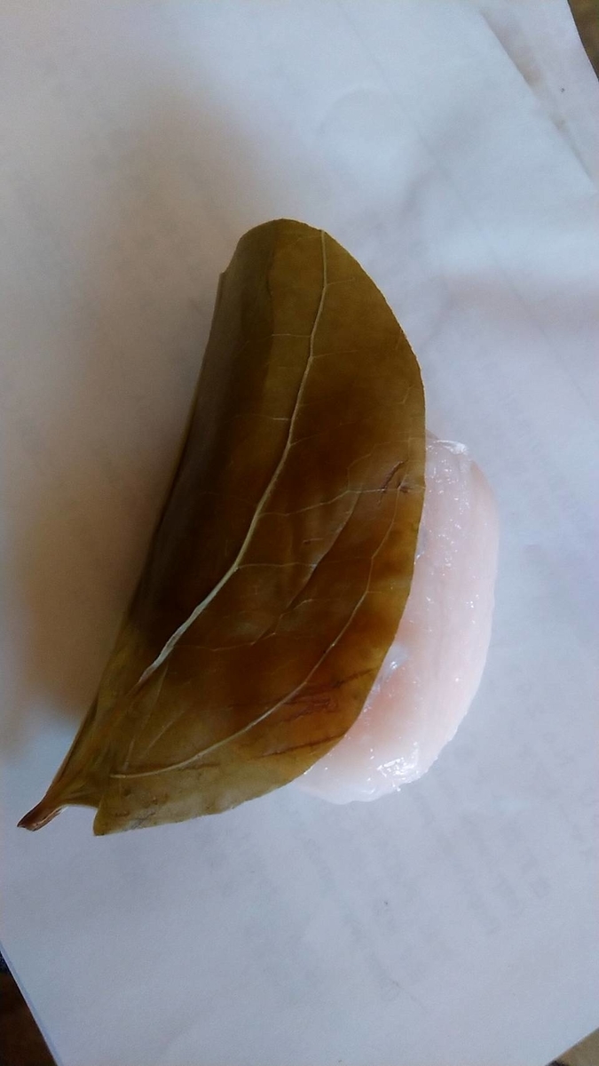 f:id:Himagine2020:20210503175925j:plain