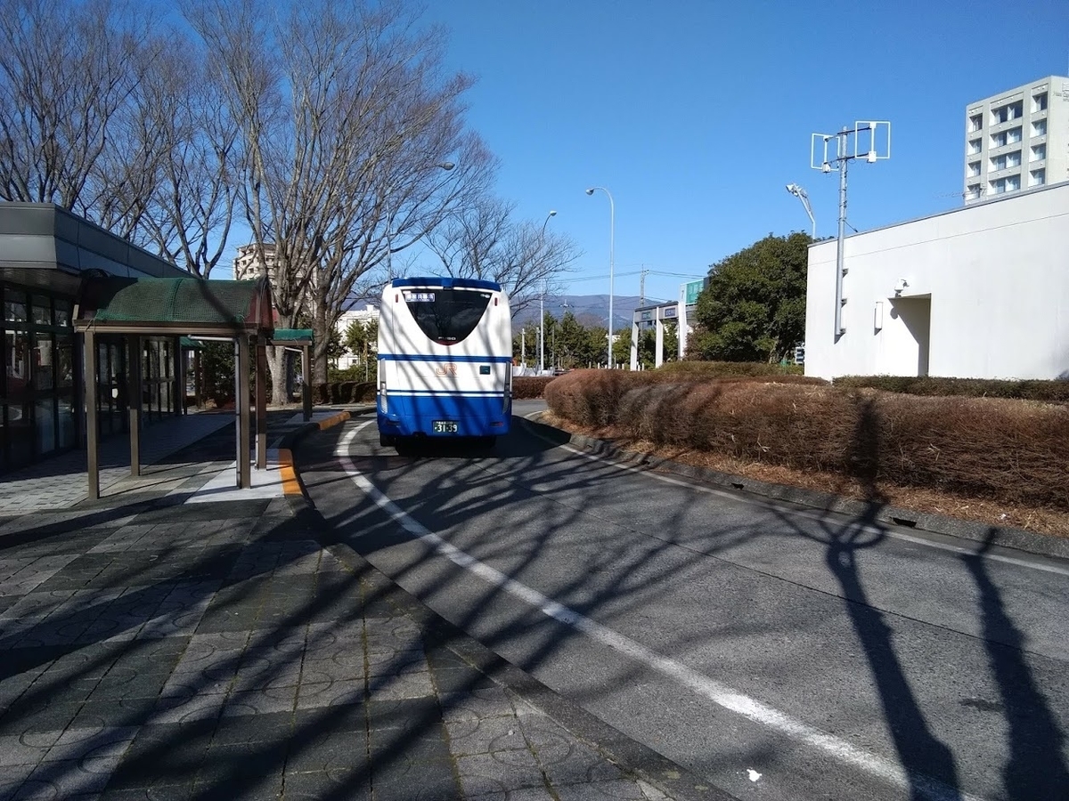f:id:Himatsubushi2:20201123022252j:plain