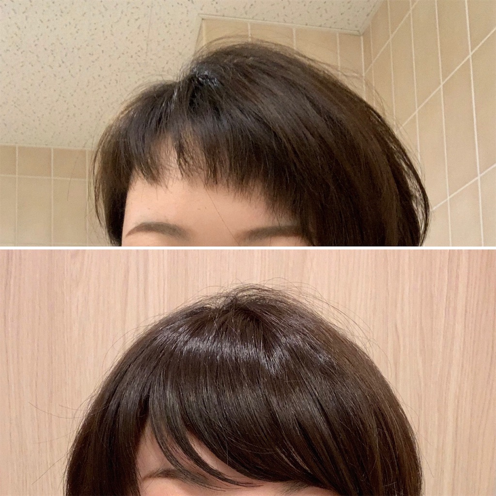 平成最後に美容院で大失敗した話 海を走る氷の馬