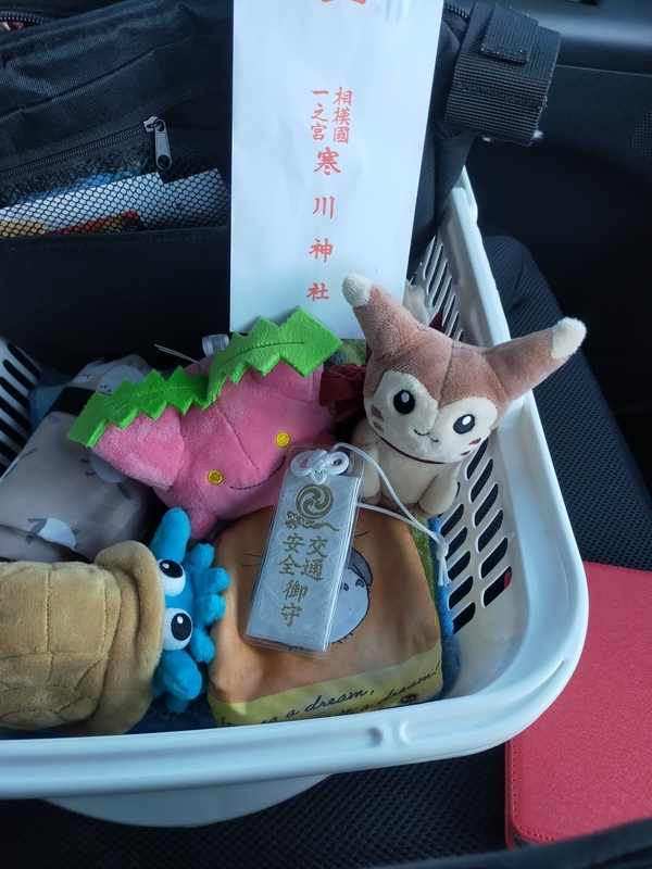 オオタチちゃんたちを連れ回したお話―前半― - 天然水ひおんの作業部屋