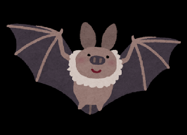 f:id:Hipumai45rabit:20200614203851p:plain