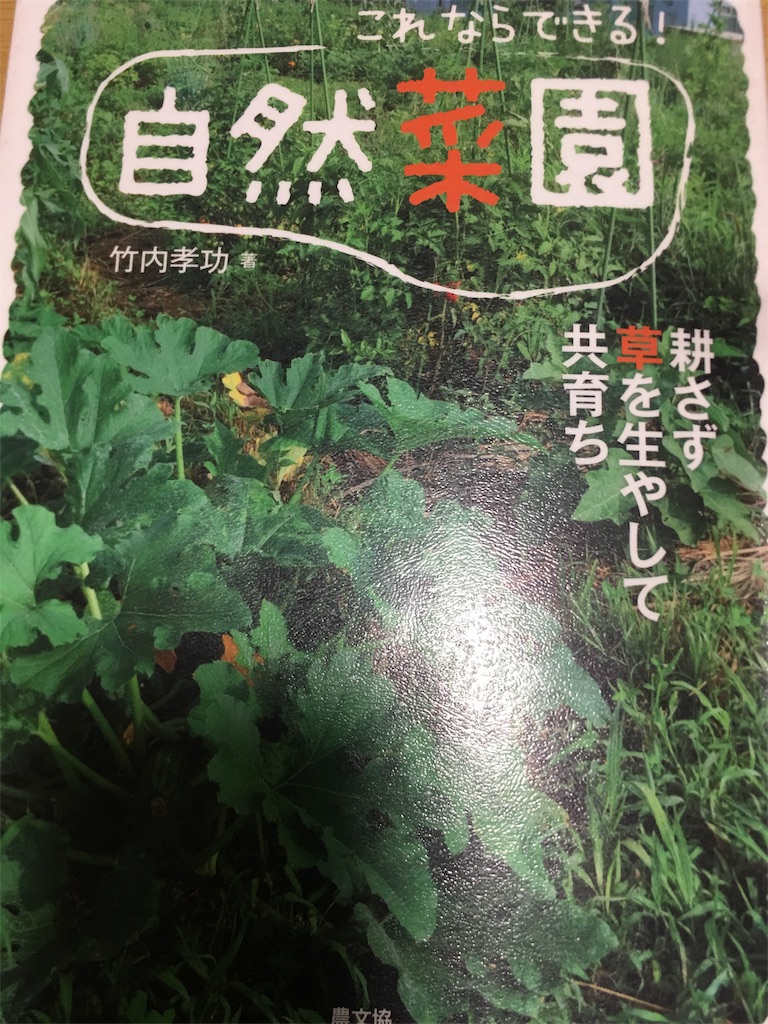 f:id:Hir0:20180108212400j:image