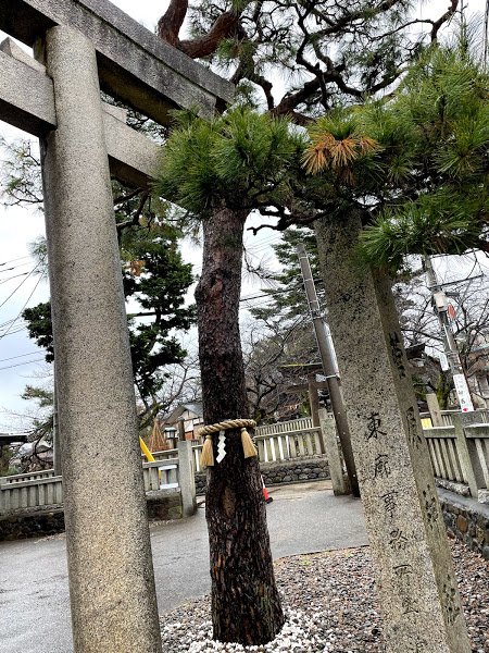 f:id:Hirakana:20210116224935j:plain