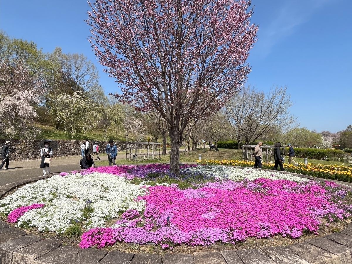 馬見丘陵公園の春の花たち