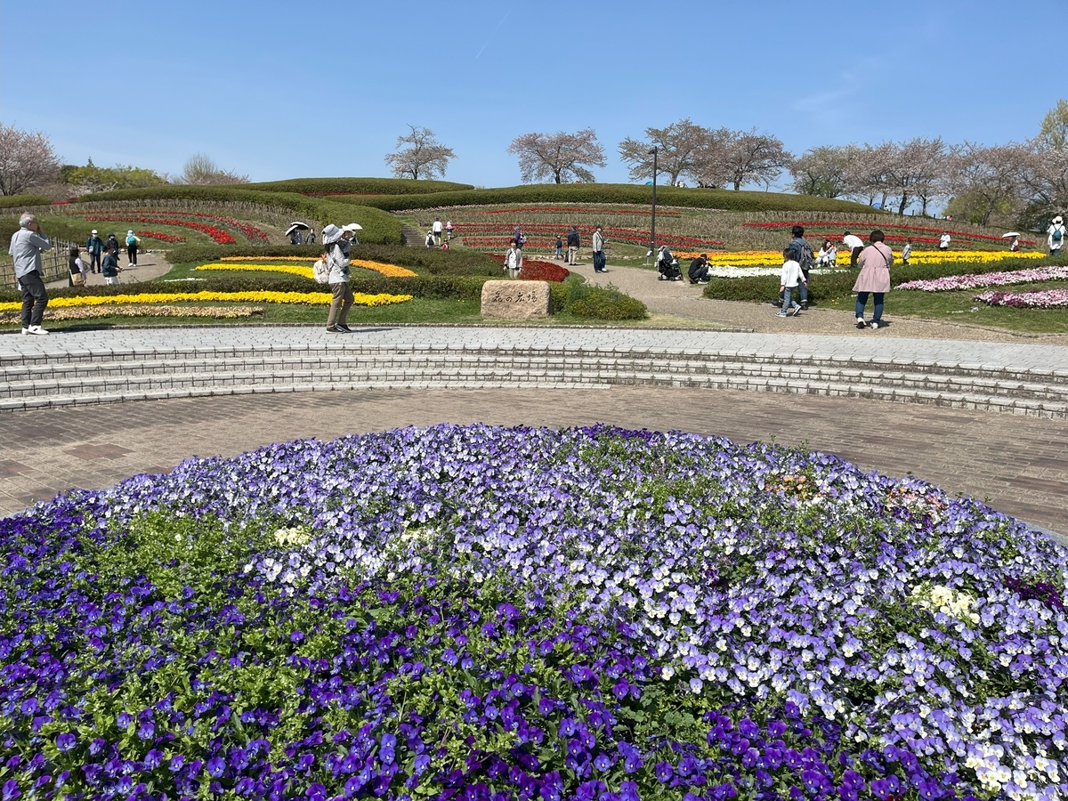 馬見丘陵公園の春の花たち