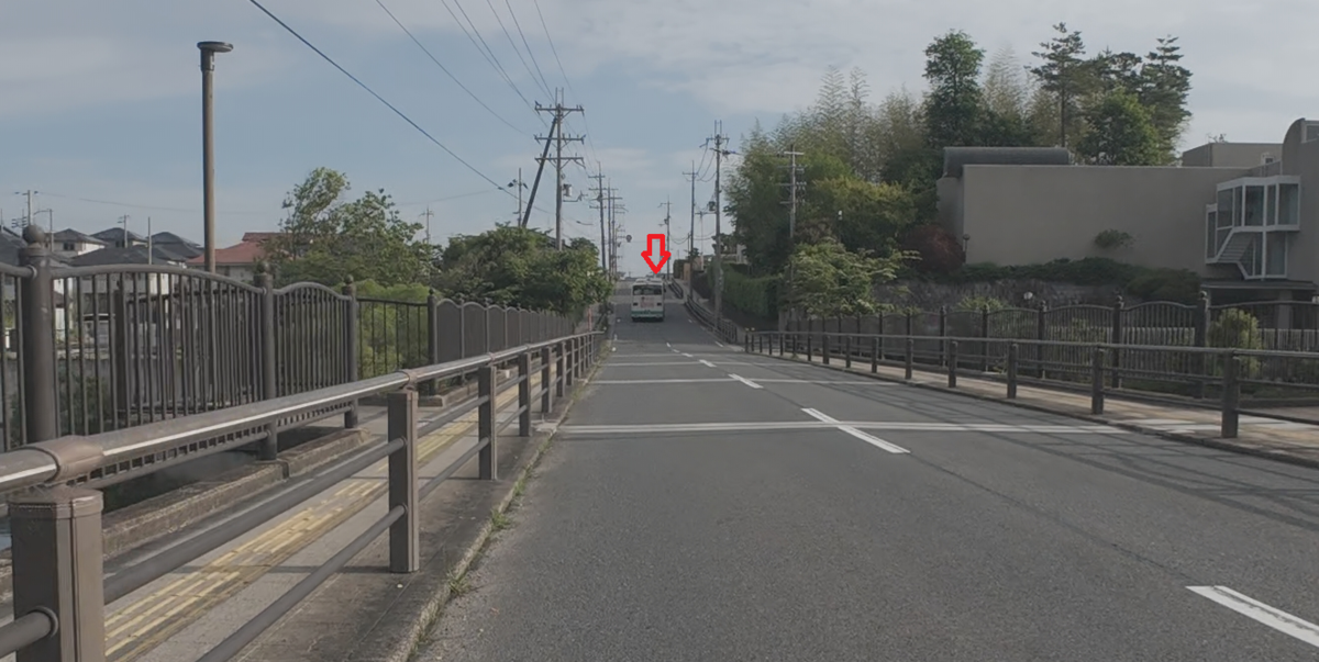 亀をよける奈良交通バス