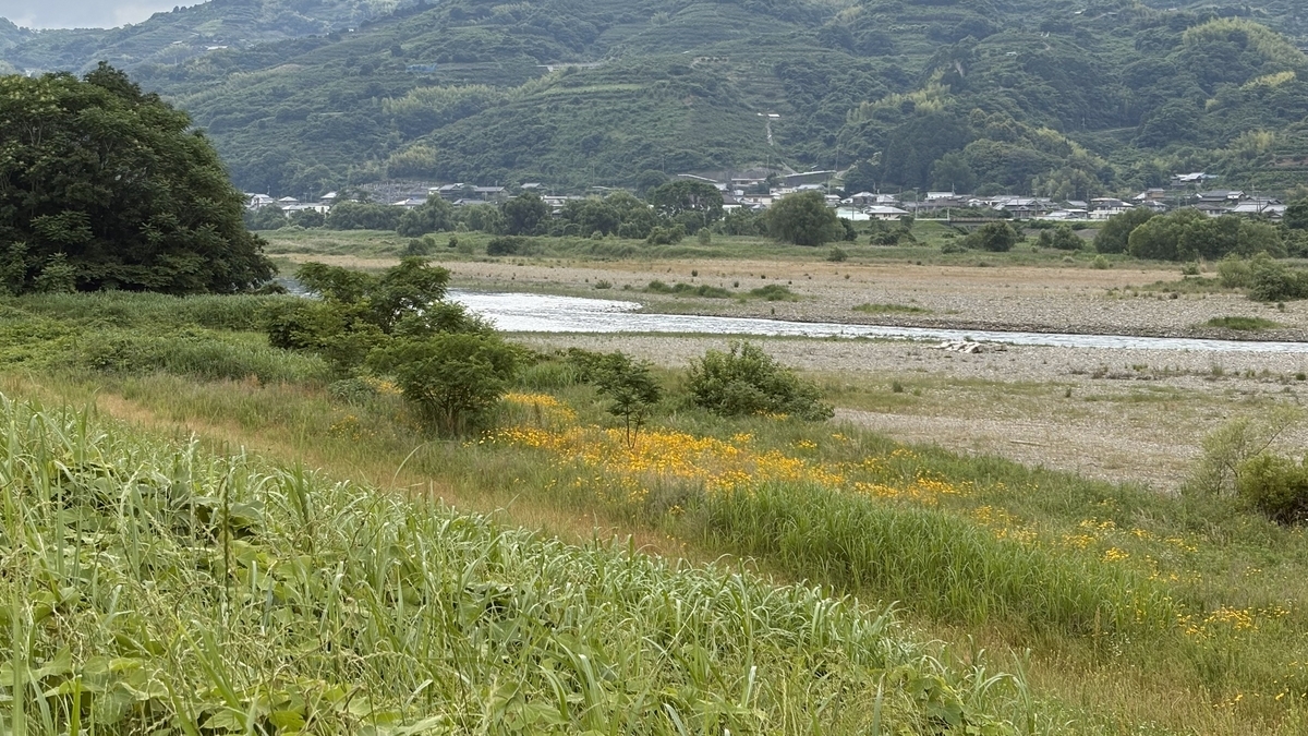 紀の川