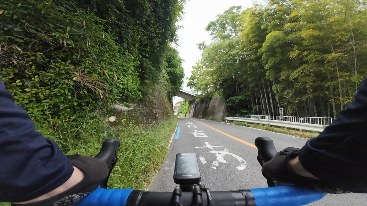 道の駅 くどやま 手前にある坂道