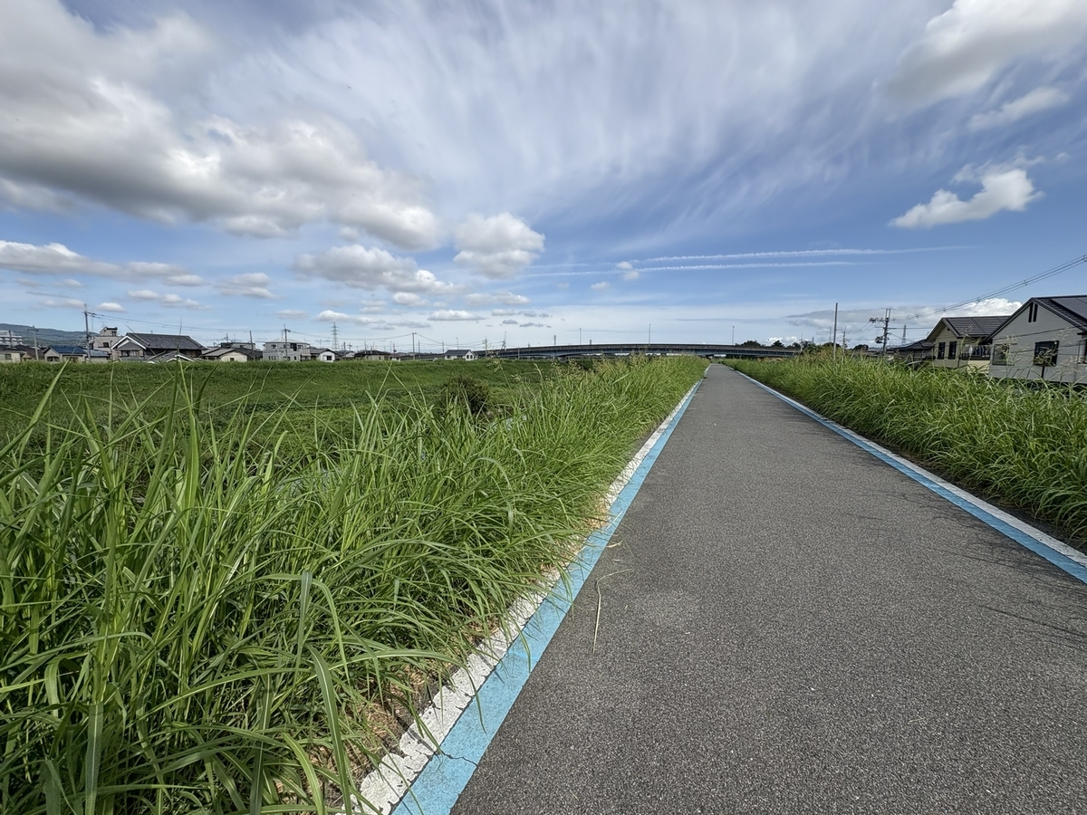 佐保川にて