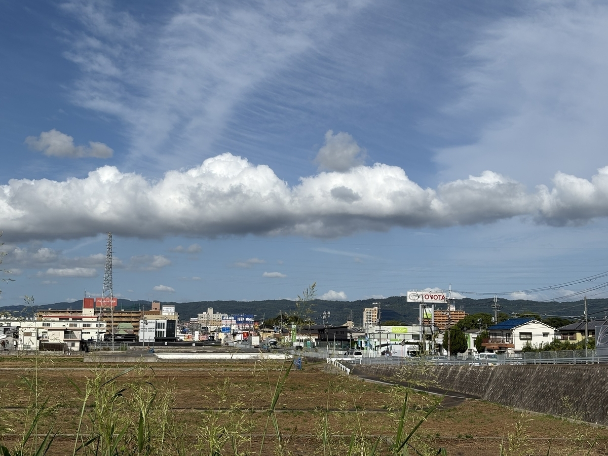 佐保川にて