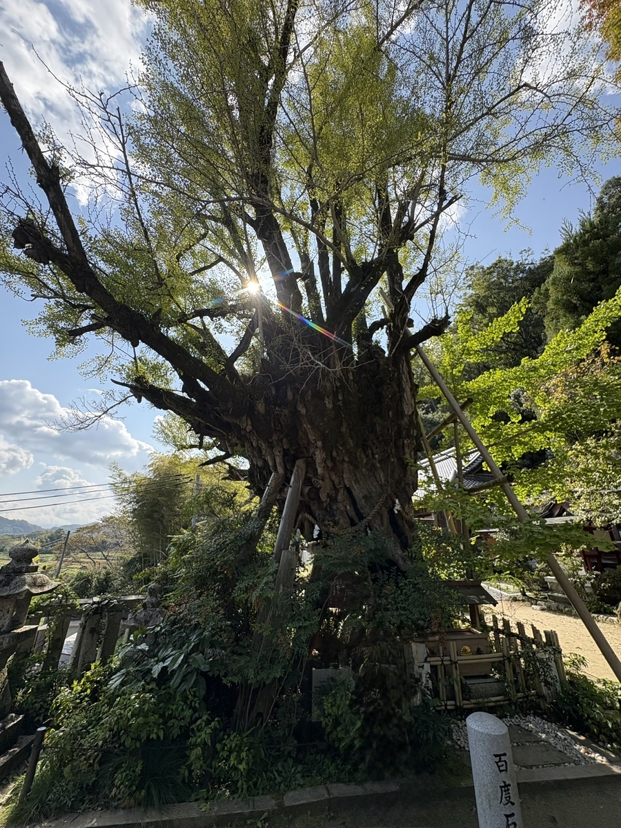 葛城一言主神社