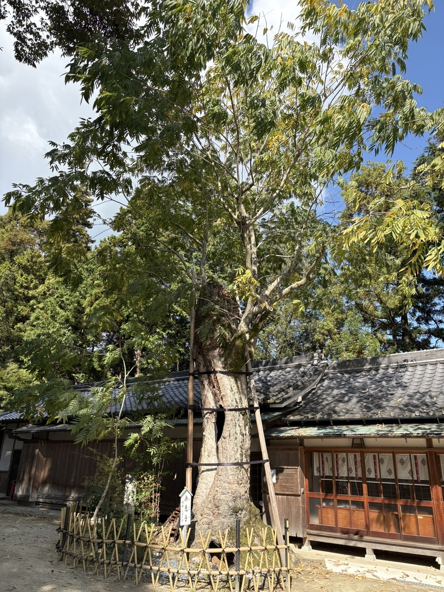 葛城一言主神社