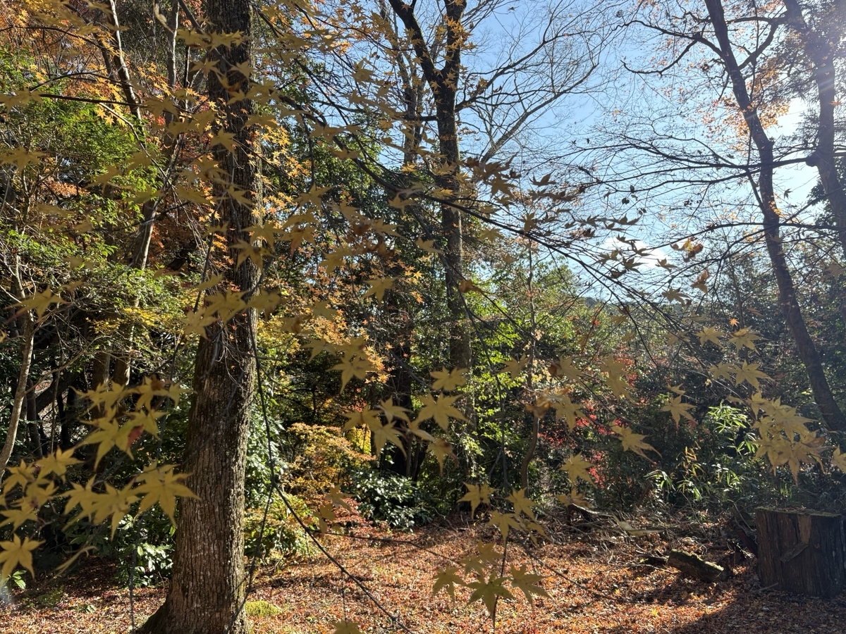 観心寺の紅葉