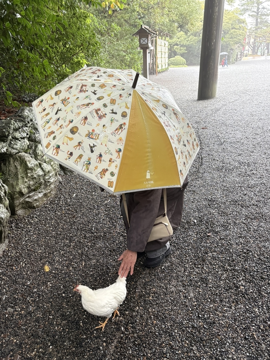 鳥居前でなぜか出迎えてくれた鶏
