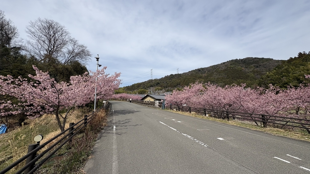 井手町まちづくりセンター椿坂