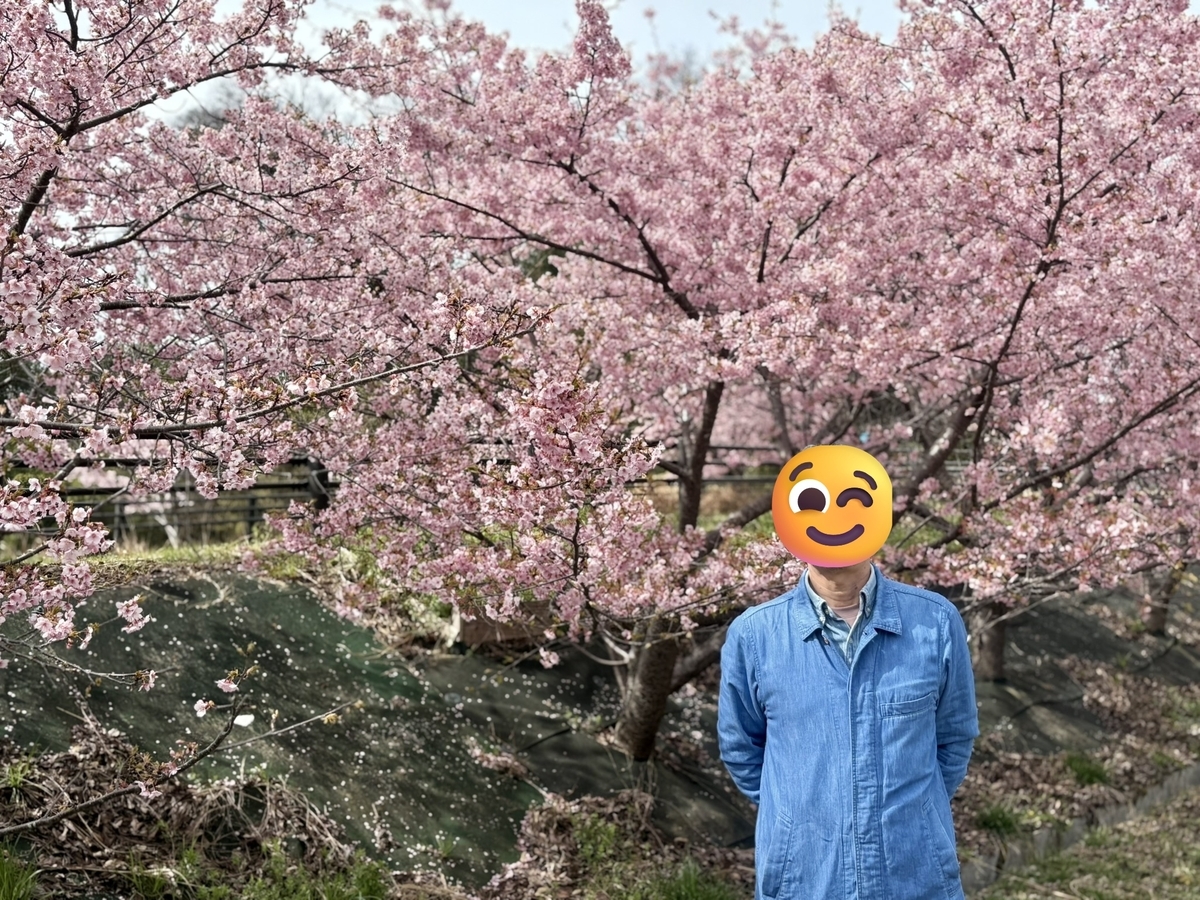 井手町まちづくりセンター椿坂