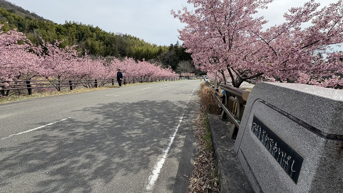 井手町まちづくりセンター椿坂