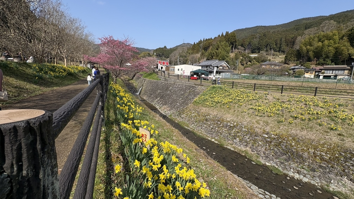 又兵衛桜周辺