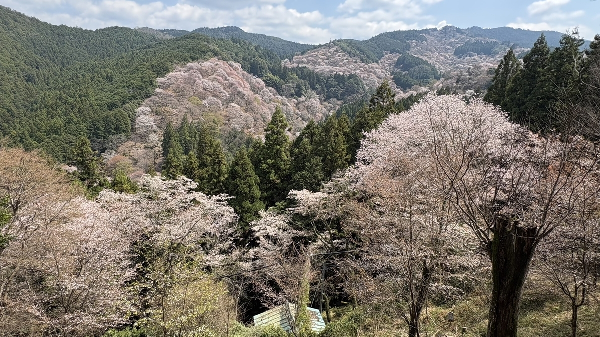 一目千本の吉水神社