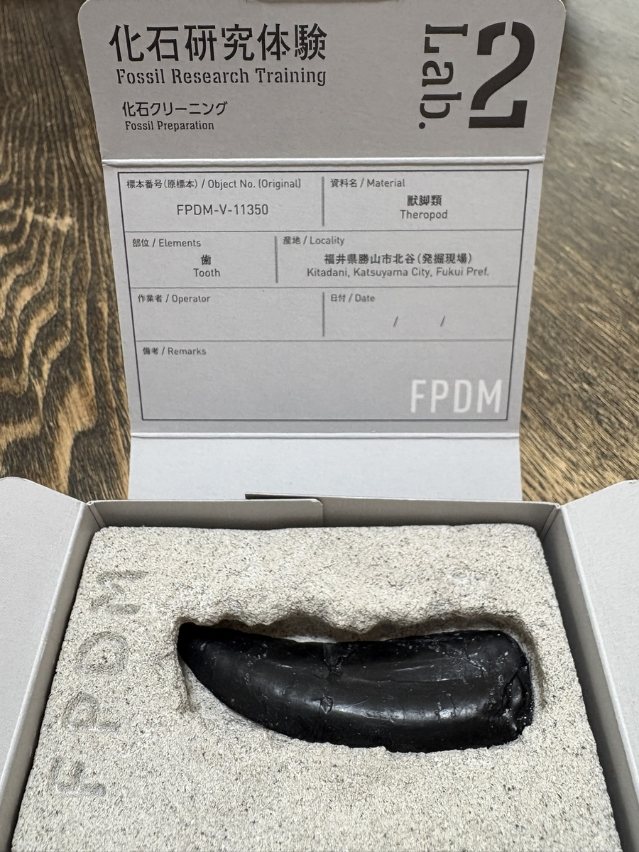 福井県立恐竜博物館