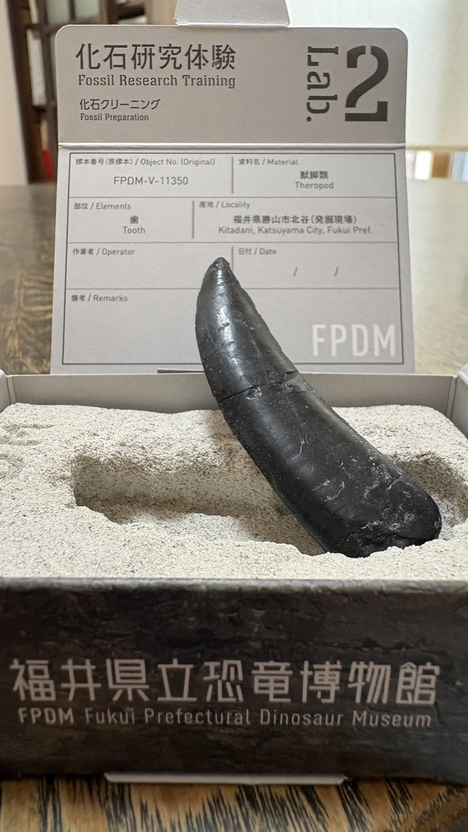 福井県立恐竜博物館